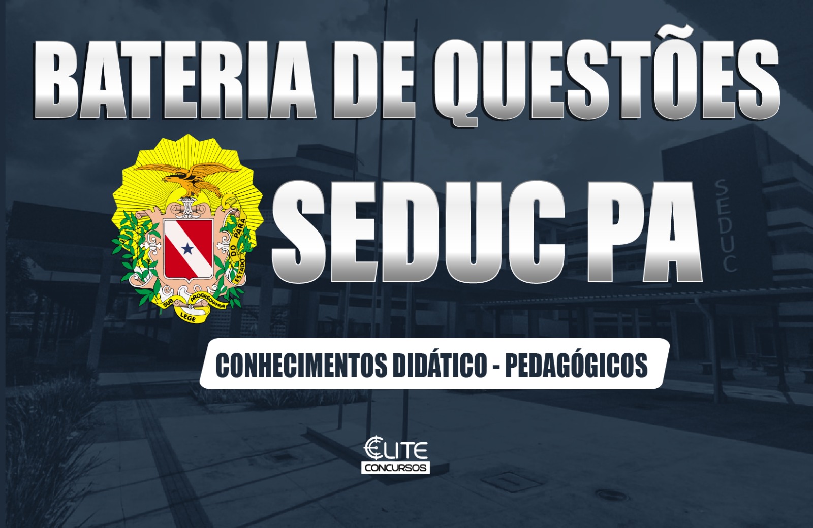 BATERIA DE QUESTES SEDUC/PA